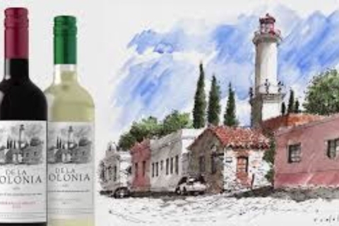 Express-Verkostung von uruguayischen Weinen und KäseUruguayische Wein- und Käseverkostung - 3 Gläser