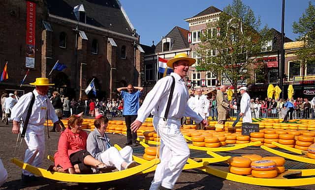 alkmaar 2hour tour and cheese market visit