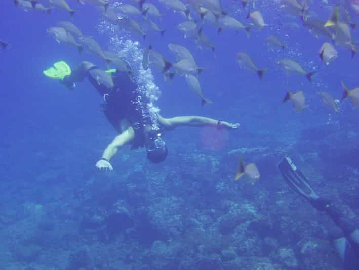 Guanacaste Discover Scuba Dive Day in Papagayo Gulf GetYourGuide