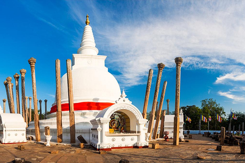 From Trincomalee: Anuradhapura Guided Day Trip with Pickup