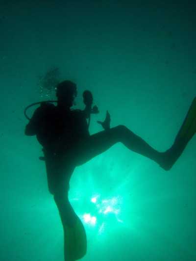 Golfo de Papagayo: Excursión de medio día de buceo de 2 inmersiones