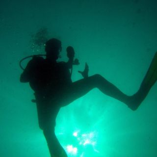 Papagayo Gulf: 2 Dives Half-Day Scuba Dive Tour