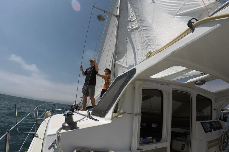 Marina Del Rey: 2 uur privé catamarantour door de jachthaven