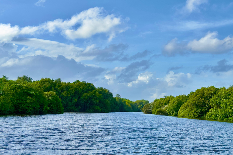 Negombo Dutch Canal & River Birding Wildlife Boat tour