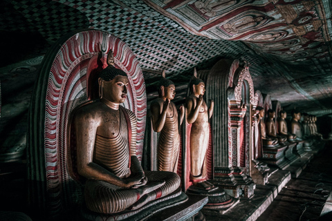 Da Colombo: Tour privato di Sigiriya, Dambulla e Minneriya