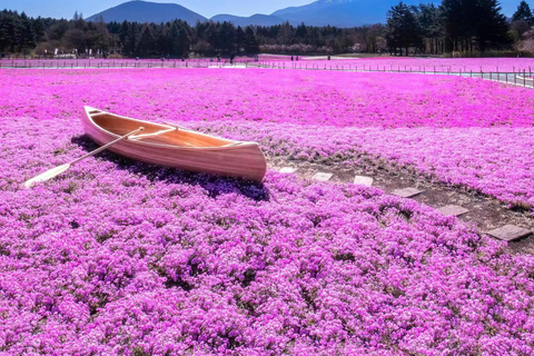 Tokyo: Lake Kawaguchi, Oshino Hakkai, Mt Fuji Views Day TripTokyo Mode Gakuen:8:30AM