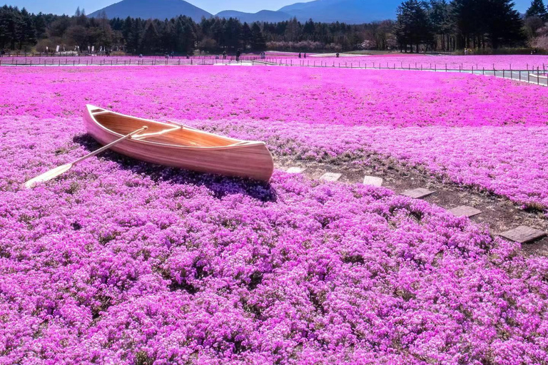 Tokyo: Lake Kawaguchi, Oshino Hakkai, Mt Fuji Views Day TripTokyo Mode Gakuen:8:30AM