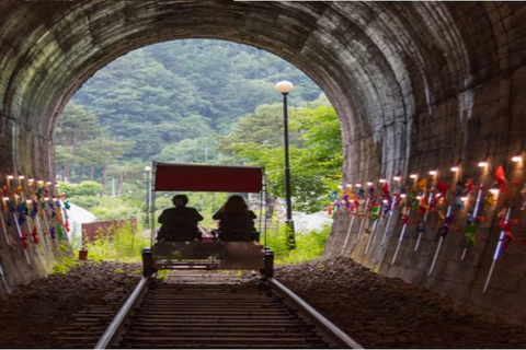 Nami island+Rail Bike+Garden of morning calm_Private Guide