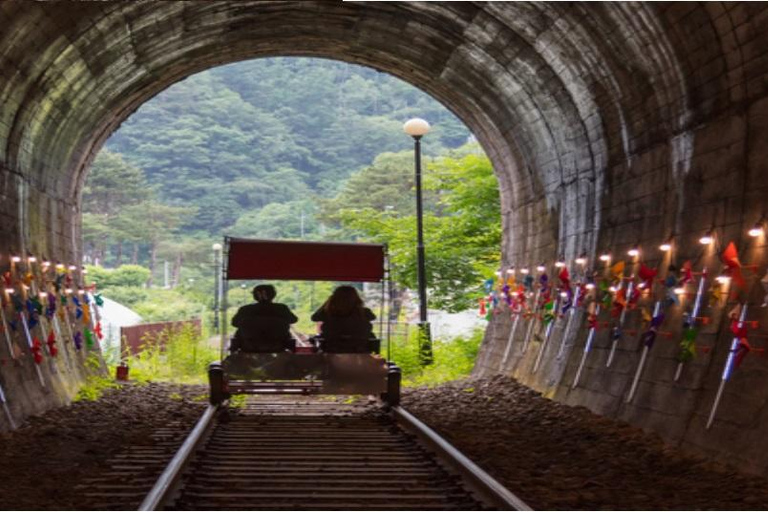 Nami island+Rail Bike+Garden of morning calm_Private Guide