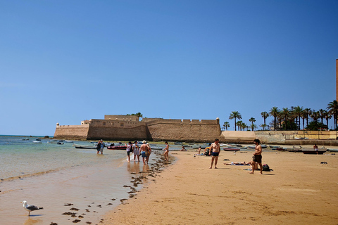 Cádiz: Tapas Bars and Wine Walking Tour