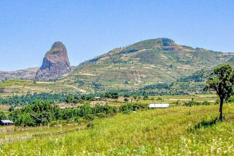 Circuit de découverte de la faune et de la flore sur le toit de l'Afrique : Montagnes du Simien