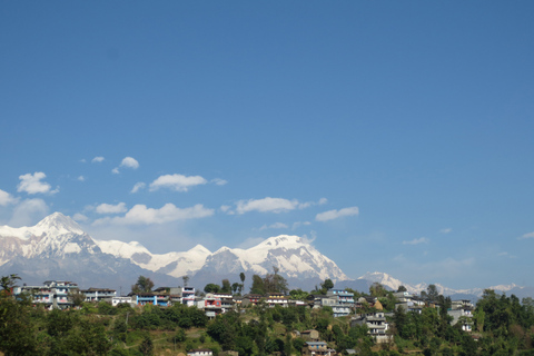 Mountain Flight , Jungle Safari, & Paragliding Tour