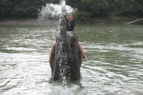 Vol en montagne, safari dans la jungle et excursion en parapente