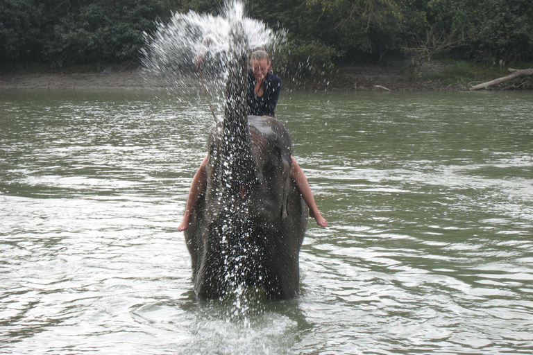 Vol en montagne, safari dans la jungle et excursion en parapente