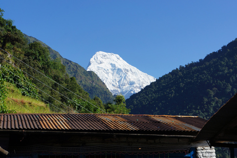Vol en montagne, safari dans la jungle et excursion en parapente