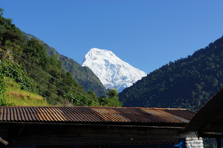 Vol en montagne, safari dans la jungle et excursion en parapente