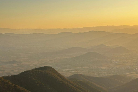 Oaxaca: Hiking in the Mushroom Forest of Cuajimoloyas