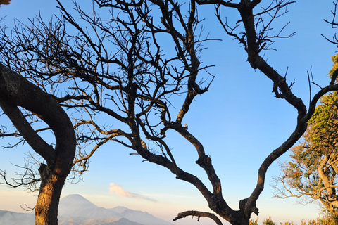 "Java Highlights: Yogyakarta to Bromo & Ijen Volcanoes"