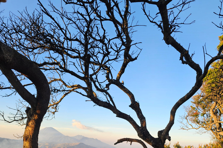 "Java Highlights: Yogyakarta to Bromo & Ijen Volcanoes"