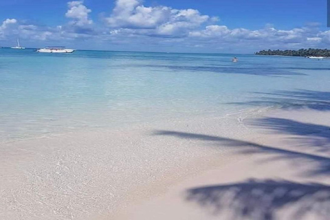 Punta Cana: Saona Island Day Trip with Lunch & Drinks