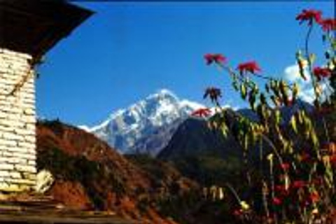 Jomsom Muktinath Trekking: 11-Day Tour from Kathmandu