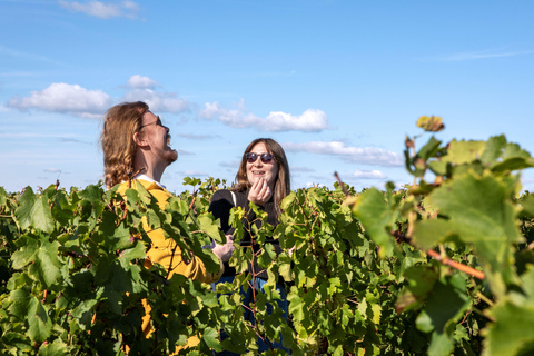 From Bordeaux: Pessac-Leognan Wine Tasting and Morning Tour