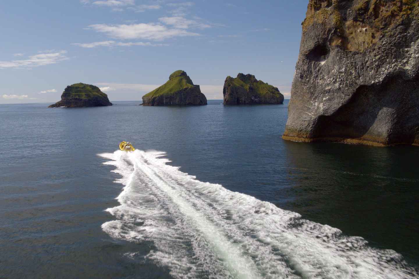 Vestmannaeyjar: 2 hour RIB boat Tour