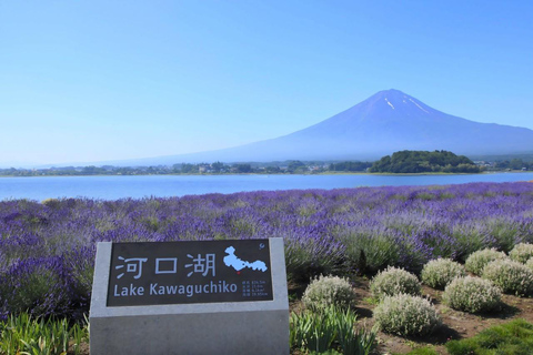 Tokio: Tour de día completo por los cuatro Majestuosos parajes del Monte Fuji