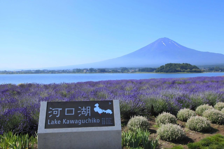 Tokyo: Full-day tour of the four Majestic spots of Mt Fuji