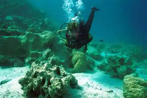 Demi-journée : Visite d'une plongée professionnelle en milieu naturel avec déjeuner