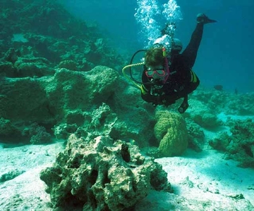 Hurghada, Professionals Diving in Open Water Tour with Lunch