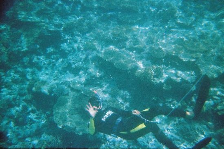 Mer Rouge : sortie plongée sous-marine d'une journéeSortie avec prise en charge depuis Hurghada