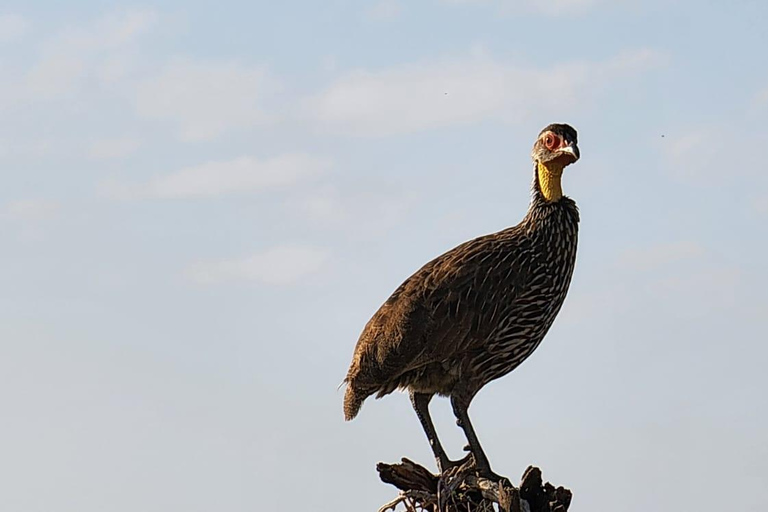 samburu and olpejeta national parks 4 days from nairobi.