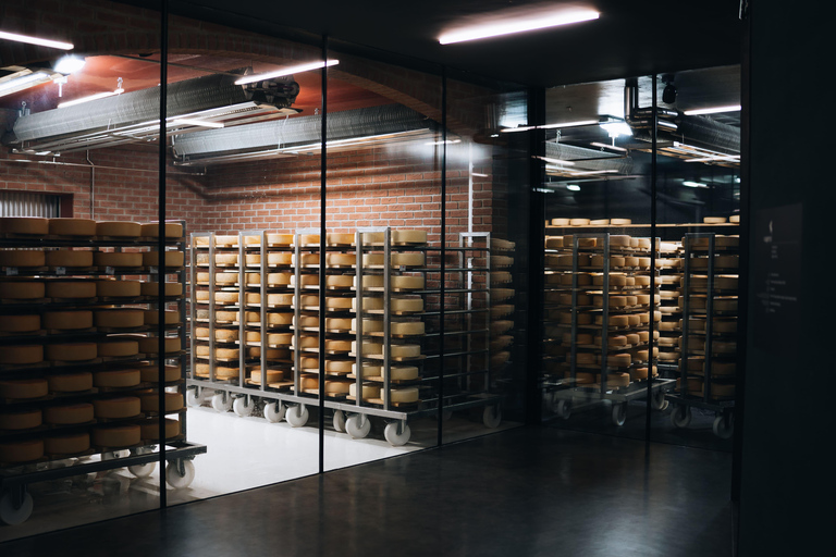 Capriz: Museum Ticket, Insight into Cheese Making, and Interactive Exhibition