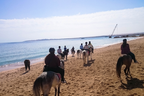 Da Hurghada: Alba sul Mar Rosso e passeggiate a cavallo nel desertoHurghada: solo una passeggiata a cavallo di 2 ore