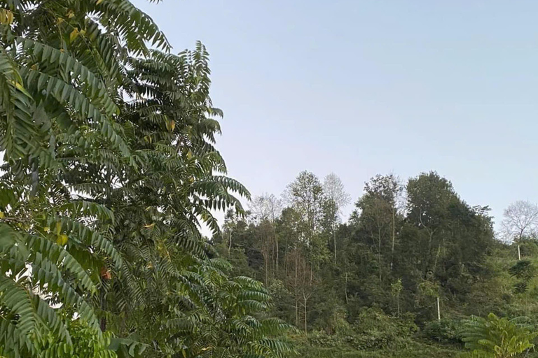 Von Ha Noi aus: 3-tägige Cao Bang Loop Tour Besuch eines lokalen Dorfes