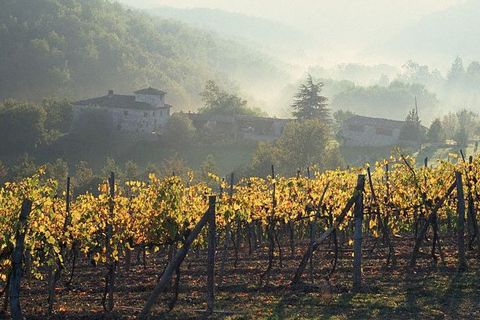 Chianti Wine Tour: Full-Day from Florence with Tastings Chianti Wine Tour from Florence