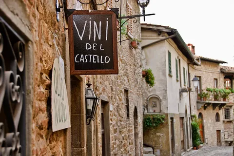 Depuis Florence : Visite guidée des vignobles du Chianti avec chauffeur-guide