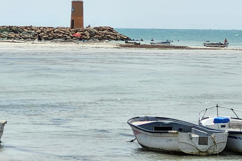 Djerba in Electric Mode: 3 Wheels, 3 Adventurers, Ready to Explore the Island? Djerba: Electric 3-Wheeler Ride for a Fun Family Experience
