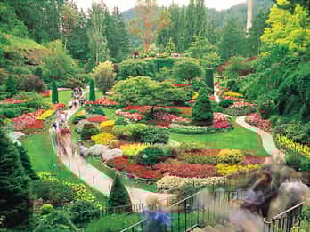 Ab Vancouver: Victoria City und Butchart Gardens Ab Vancouver: Victoria City und Butchart Gardens