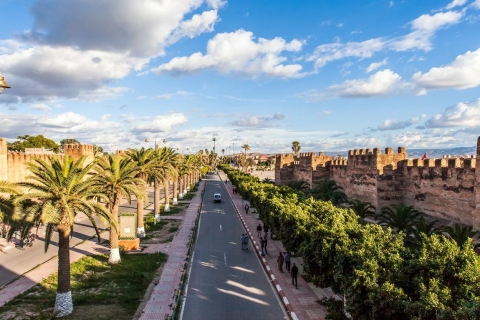 From Agadir: Taroudant & Tiout Palm Grove and Village Tour From Agadir: Taroudant & Tiout Palm Grove and Village Tour