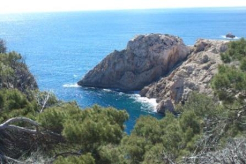 Desde Cala Millor: tour de medio día en buggy por MallorcaTour 2