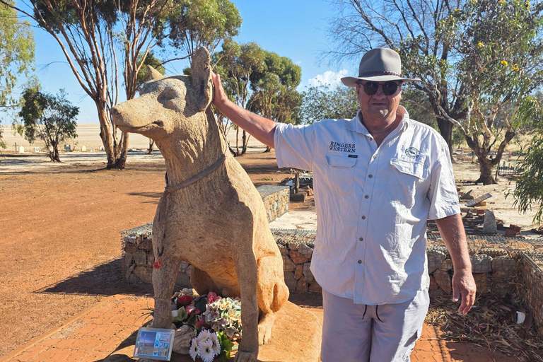 Perth: Wave Rock, Mulka's Cave, and Hippo's Yawn( Day Tour)