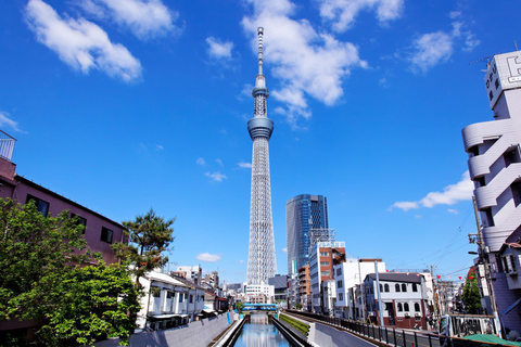 From Osaka: 5-Day Japan Highlights Tour to Tokyo
