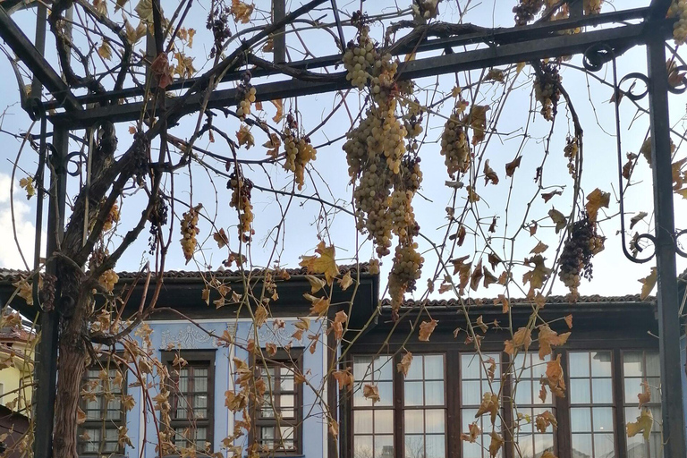 From Sofia: Plovdiv and Thracian Wine Tour with Lunch