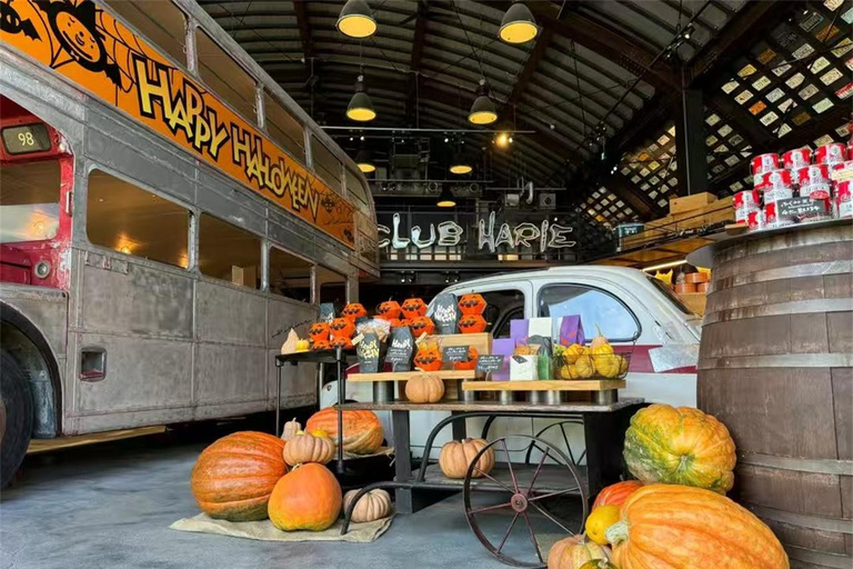 Iga: Lake Biwa Architecture & Miho Museum Day Trip Osaka