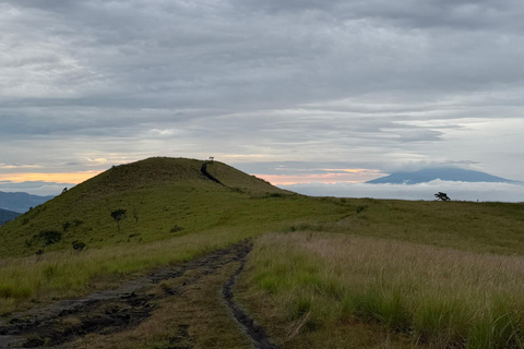 Santa Ana: wędrówka po wulkanie San Marcelino z lokalnym przewodnikiem.