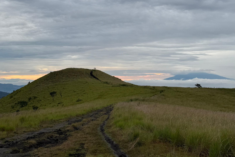 Santa Ana: wędrówka po wulkanie San Marcelino z lokalnym przewodnikiem.