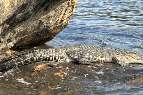 Bentota Village tour By Tuk Tuk