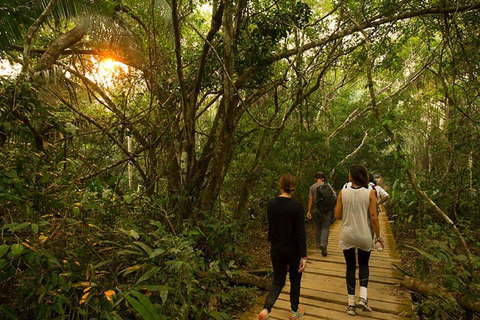 Puerto Maldonado: Chuncho Macaw Clay Lick & Kayak Tour